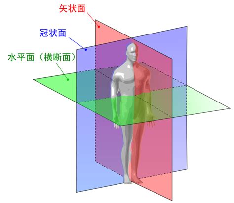 一矢中的意思|“一矢中的”是什么意思啊